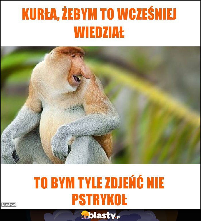 Kurła, żebym to wcześniej wiedział Kurła, żebym to wcześniej wiedział