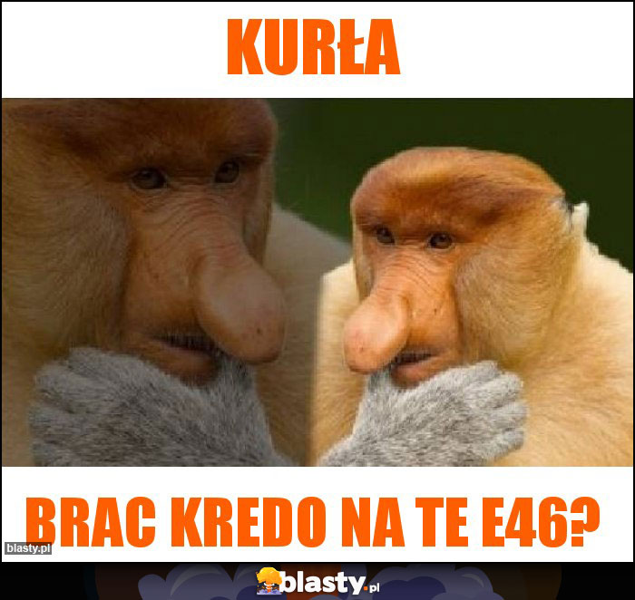 Kurła