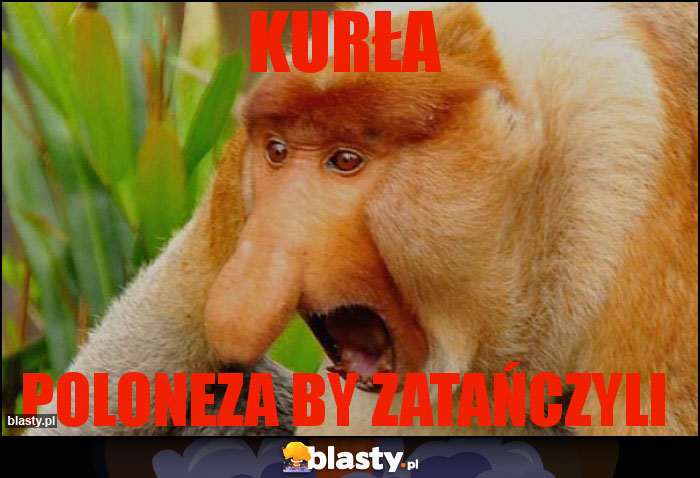 kurła