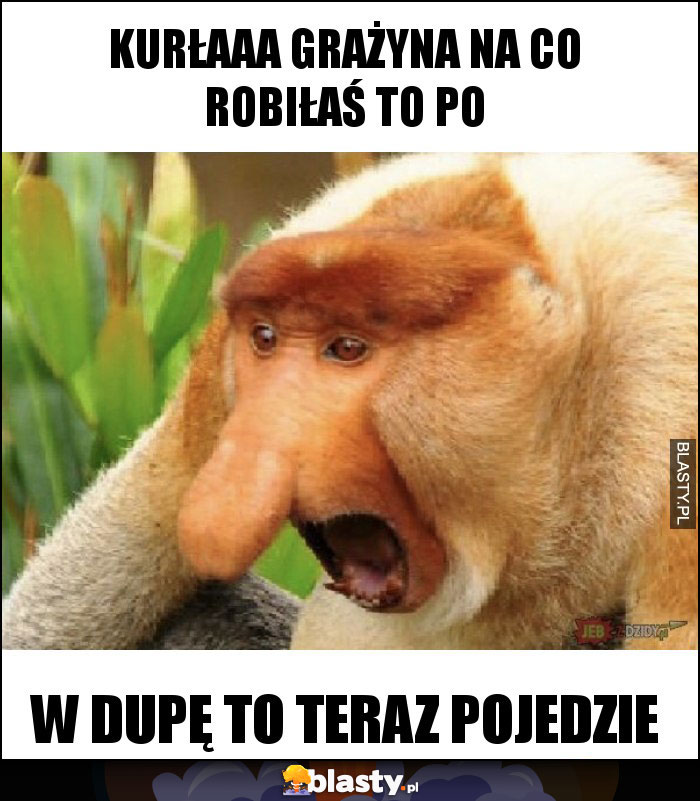 KURŁAAA GRAŻYNA NA CO ROBIŁAŚ TO PO KURŁAAA GRAŻYNA NA CO ROBIŁAŚ TO PO