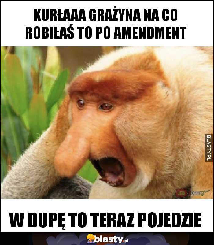 KURŁAAA GRAŻYNA NA CO ROBIŁAŚ TO PO AMENDMENT KURŁAAA GRAŻYNA NA CO ROBIŁAŚ TO PO AMENDMENT