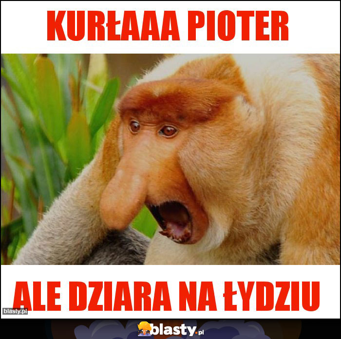 Kurłaaa Pioter Kurłaaa Pioter