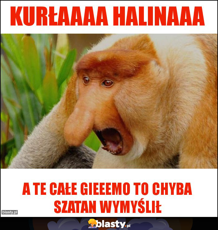 Kurłaaaa Halinaaa Kurłaaaa Halinaaa