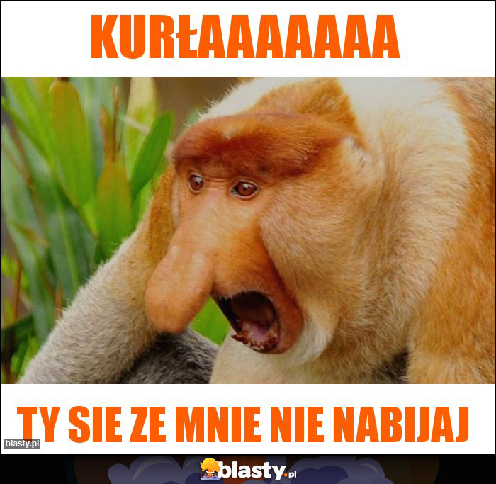 Kurłaaaaaaa Kurłaaaaaaa