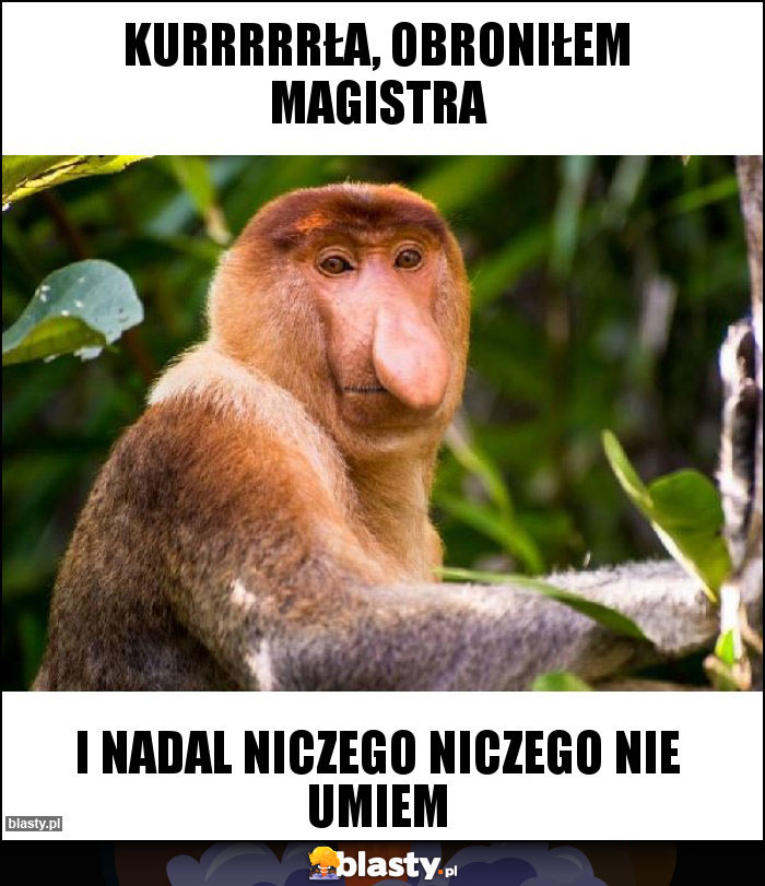 Kurrrrrła, obroniłem magistra Kurrrrrła, obroniłem magistra