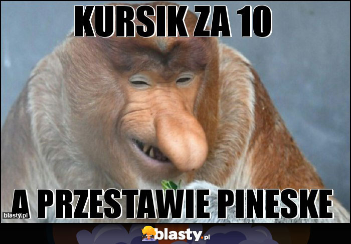 Kursik za 10 Kursik za 10