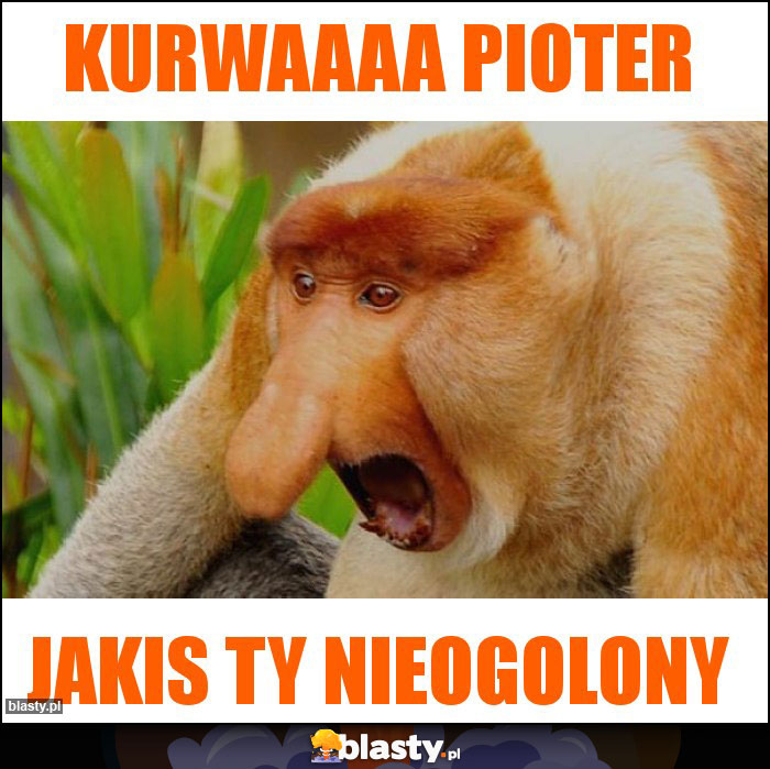 Kurwaaaa Pioter Kurwaaaa Pioter
