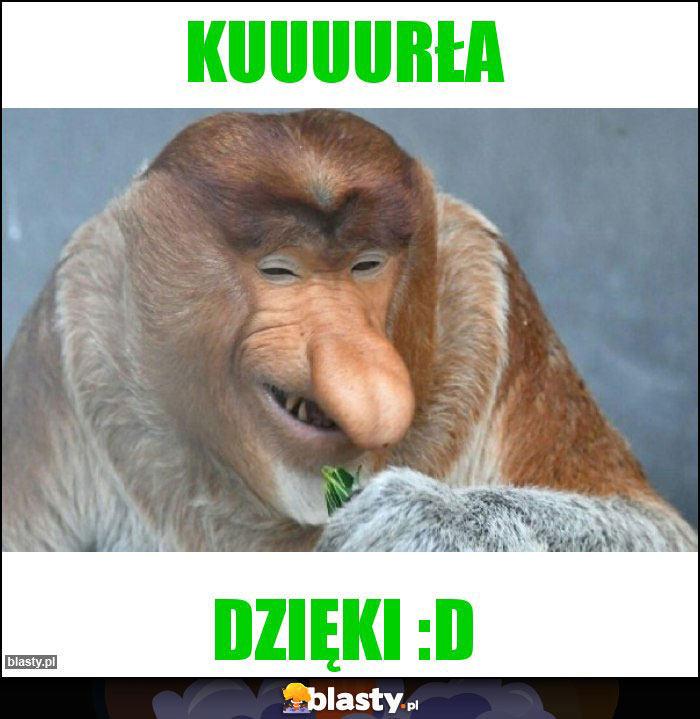 Kuuuurła