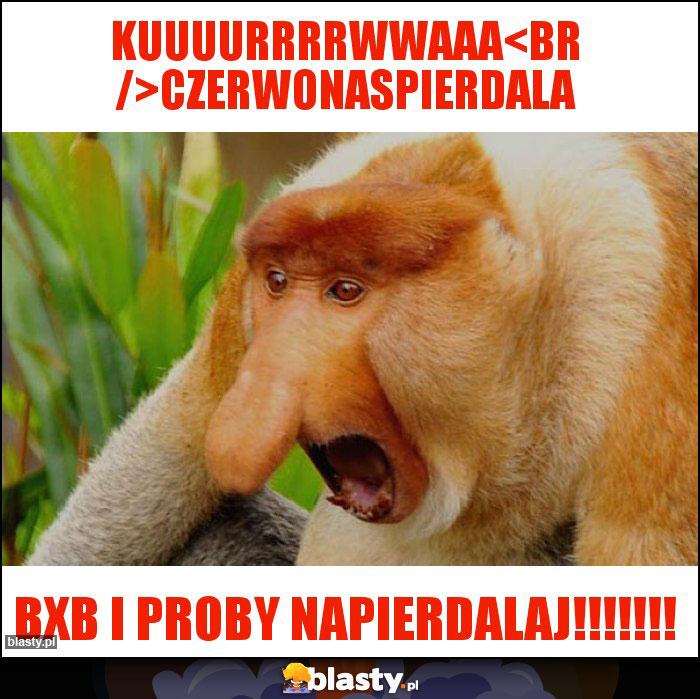 KUUUURRRRWWAAA
CZERWONASPIERDALA KUUUURRRRWWAAA
CZERWONASPIERDALA