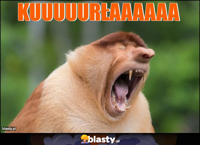 Kuuuuurłaaaaaa Kuuuuurłaaaaaa