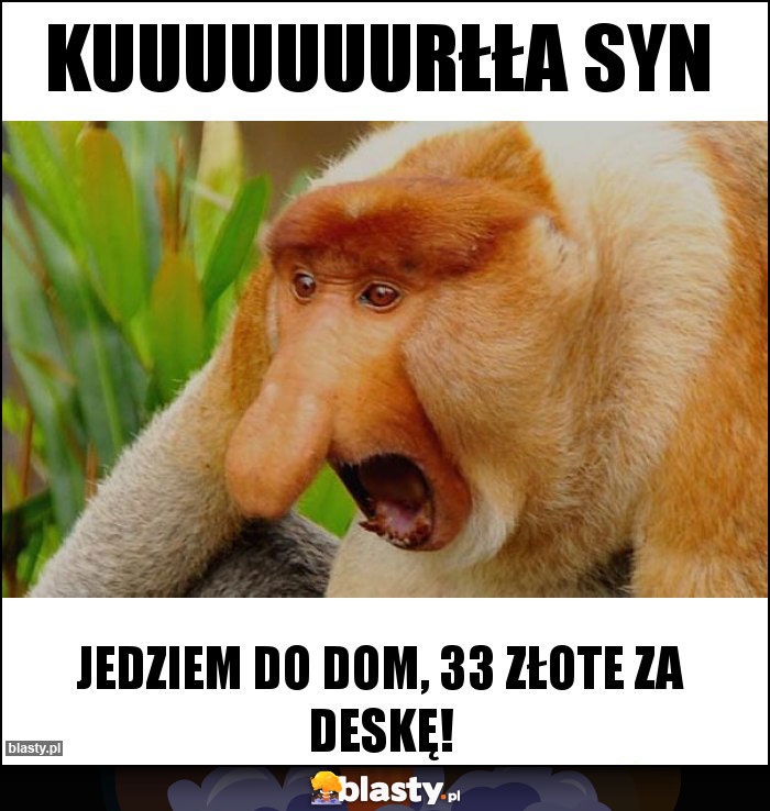 Kuuuuuuurłła syn Kuuuuuuurłła syn