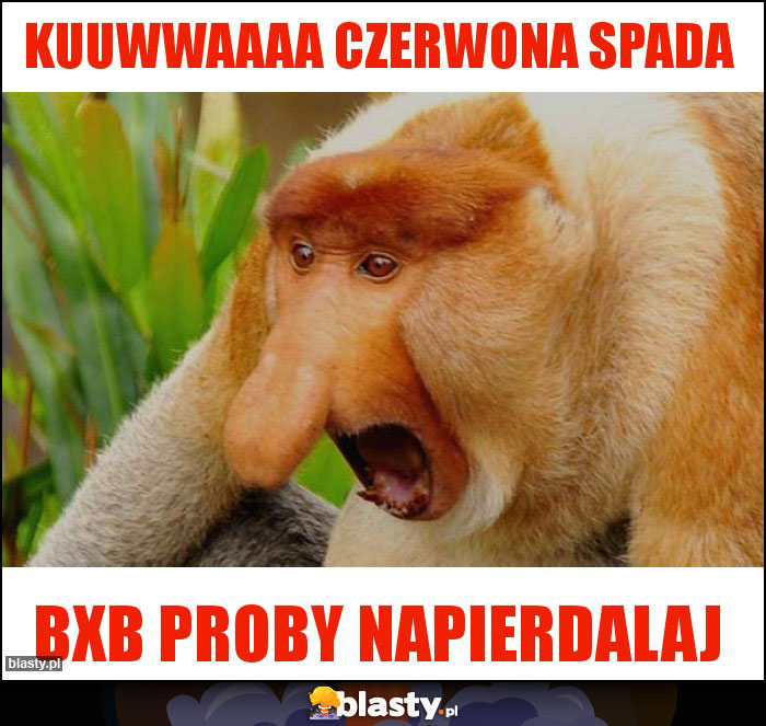 KUUWWAAAA CZERWONA SPADA KUUWWAAAA CZERWONA SPADA