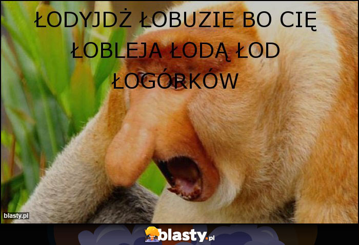 łodyjdż łobuzie bo cię łobleja łodą łod łogórków łodyjdż łobuzie bo cię łobleja łodą łod łogórków