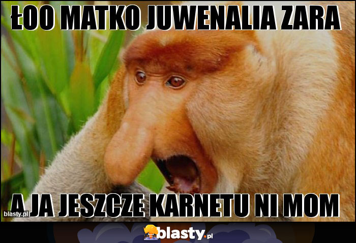 ŁOO MATKO JUWENALIA ZARA ŁOO MATKO JUWENALIA ZARA
