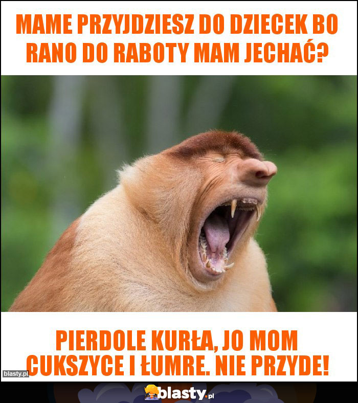 Mame przyjdziesz do dziecek bo rano do raboty mam jechać? Mame przyjdziesz do dziecek bo rano do raboty mam jechać?