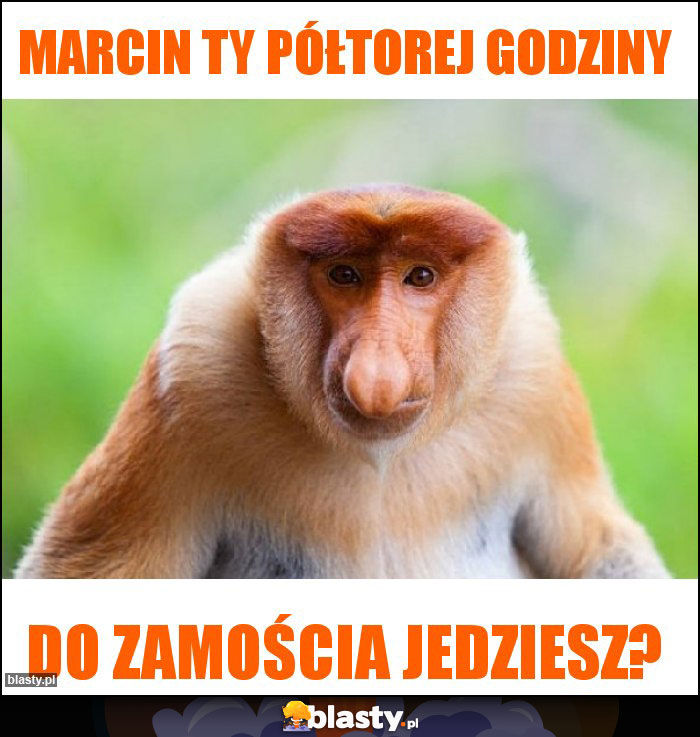 Marcin ty półtorej godziny Marcin ty półtorej godziny
