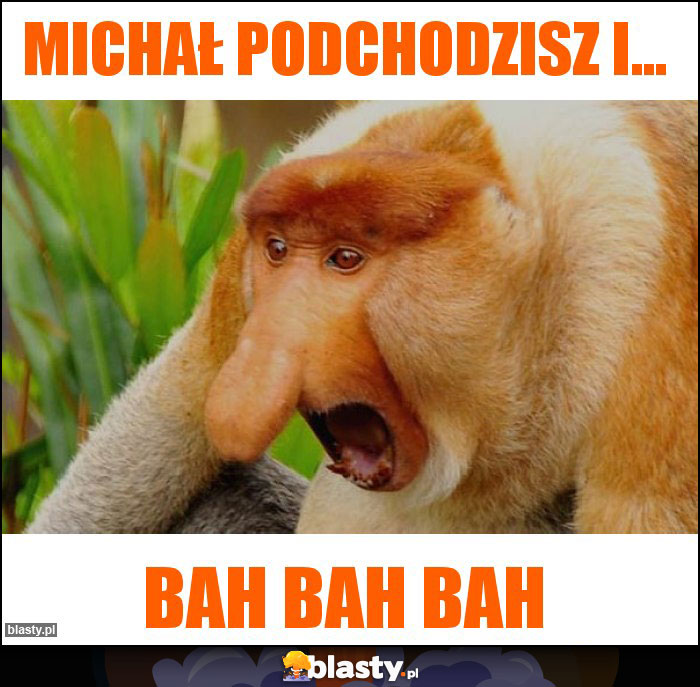 Michał podchodzisz i... Michał podchodzisz i...