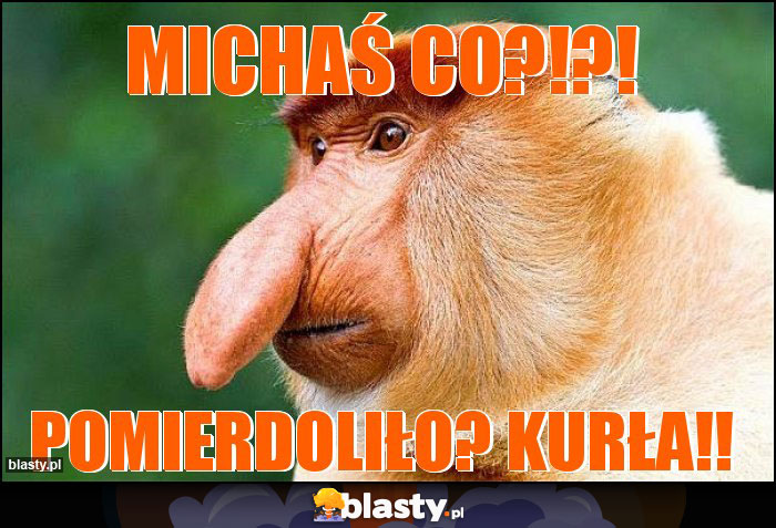 MICHAŚ CO?!?! MICHAŚ CO?!?!