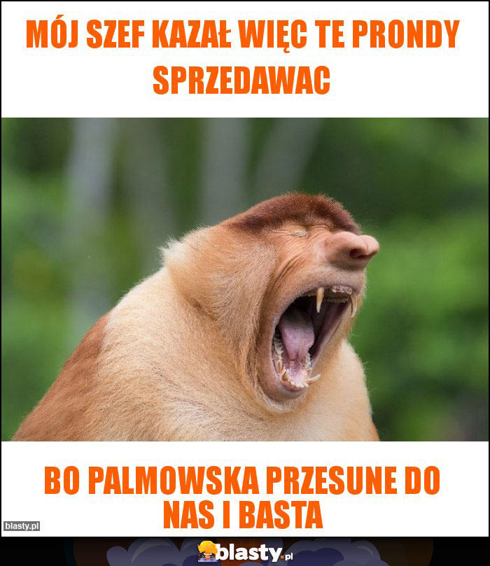 Mój Szef kazał więc te prondy sprzedawac Mój Szef kazał więc te prondy sprzedawac