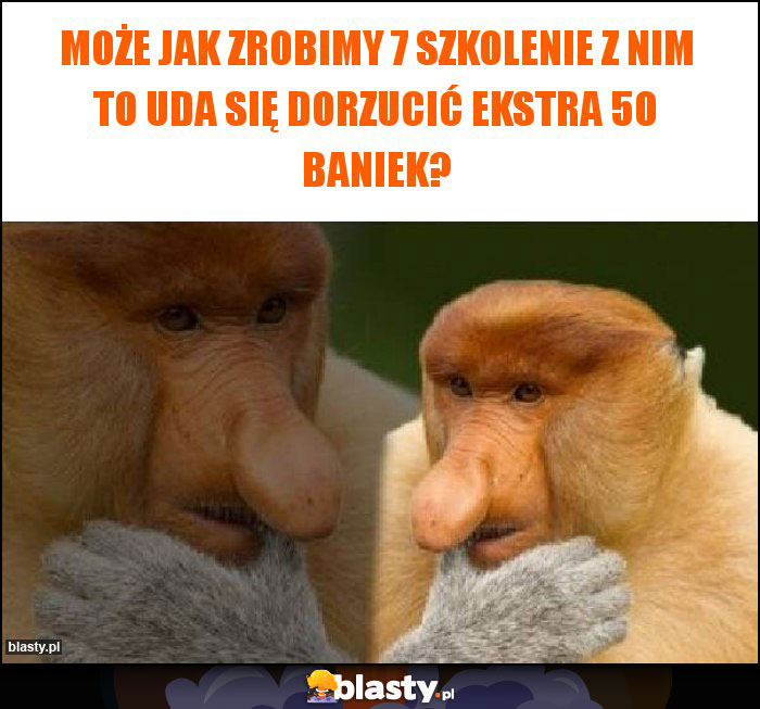 Może jak zrobimy 7 szkolenie z nim to uda się dorzucić ekstra 50 baniek? Może jak zrobimy 7 szkolenie z nim to uda się dorzucić ekstra 50 baniek?