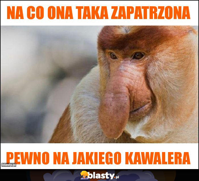 Na co ona taka zapatrzona Na co ona taka zapatrzona