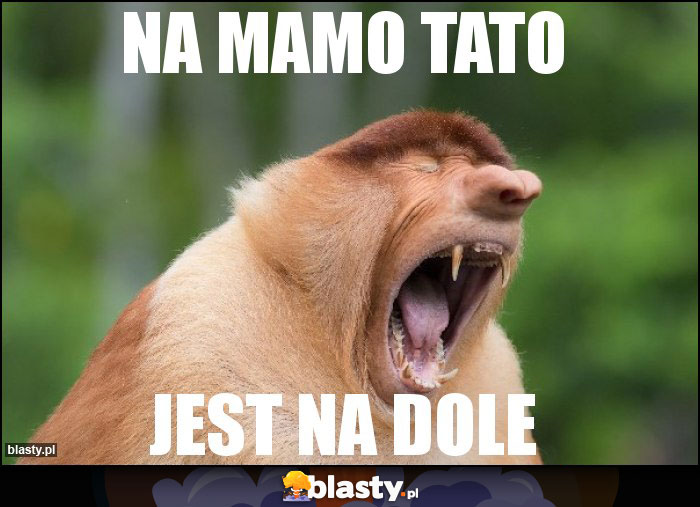 NA MAMO TATO NA MAMO TATO