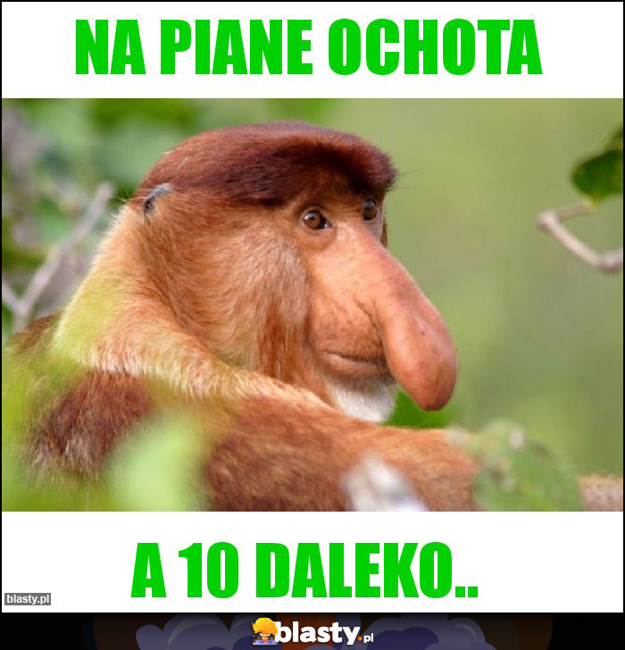 Na piane ochota Na piane ochota