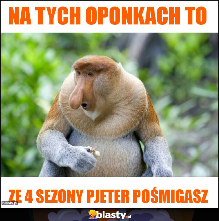 Na tych oponkach to Na tych oponkach to