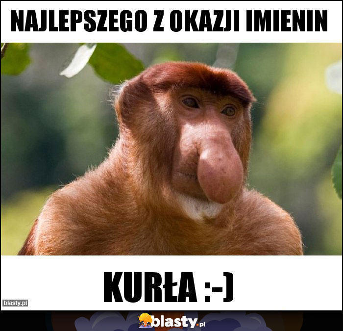 Najlepszego z okazji imienin