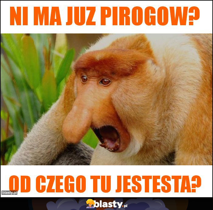 ni ma juz pirogow? ni ma juz pirogow?