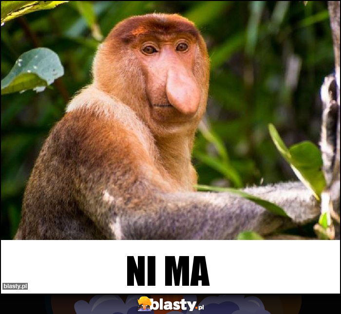 Ni ma