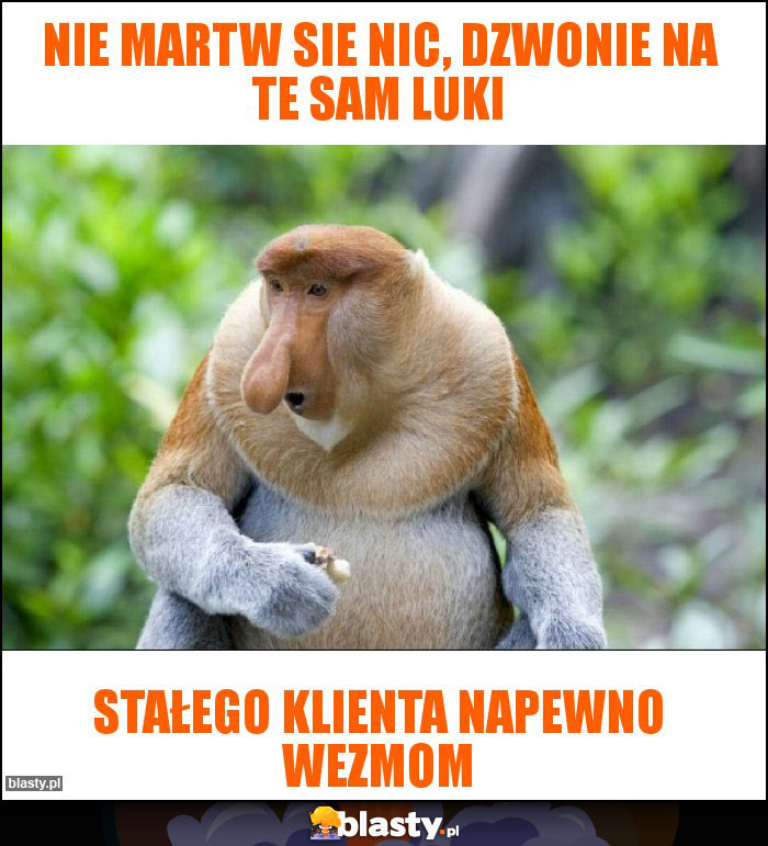 nie martw sie nic, dzwonie na te sam luki nie martw sie nic, dzwonie na te sam luki