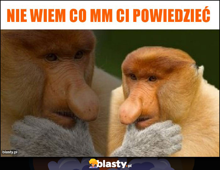 Nie wiem co mm ci powiedzieć Nie wiem co mm ci powiedzieć