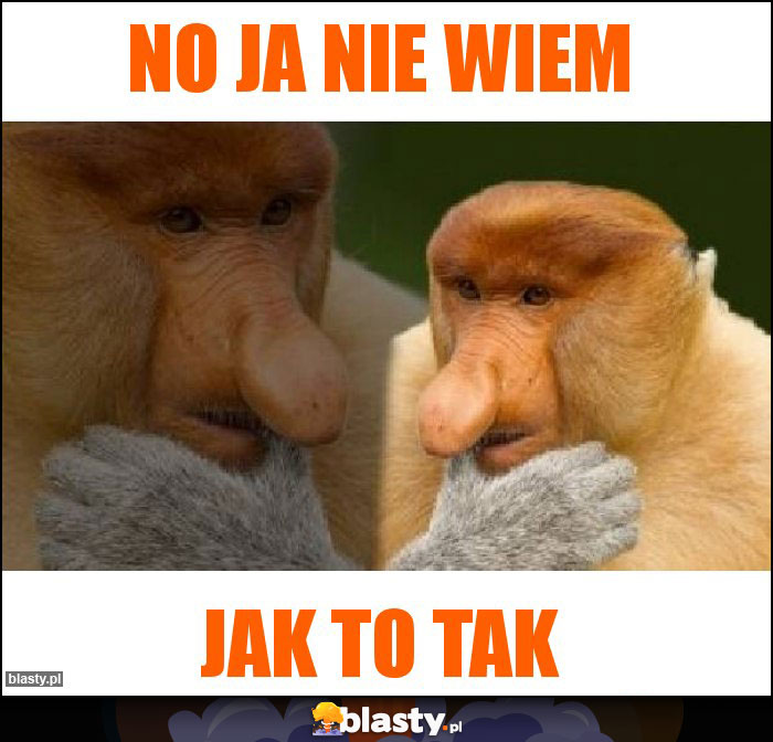 No ja nie wiem No ja nie wiem