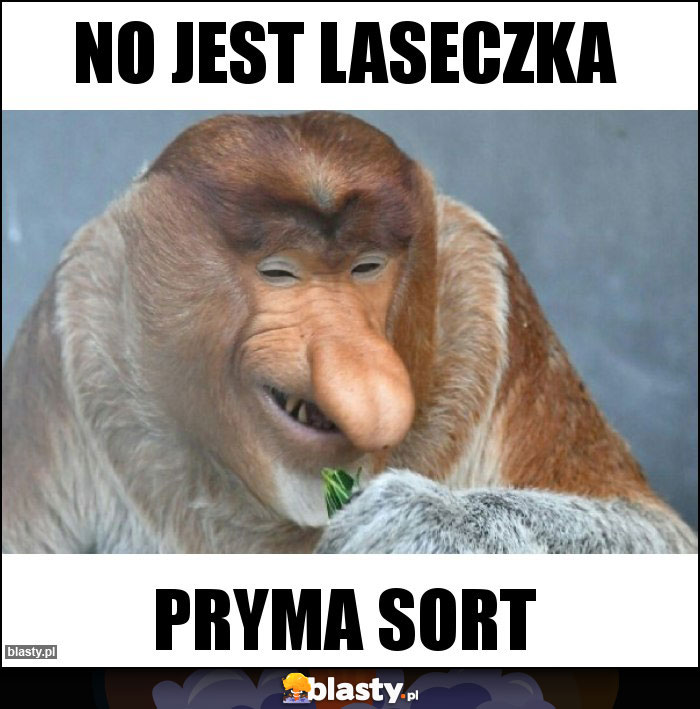 No jest laseczka No jest laseczka