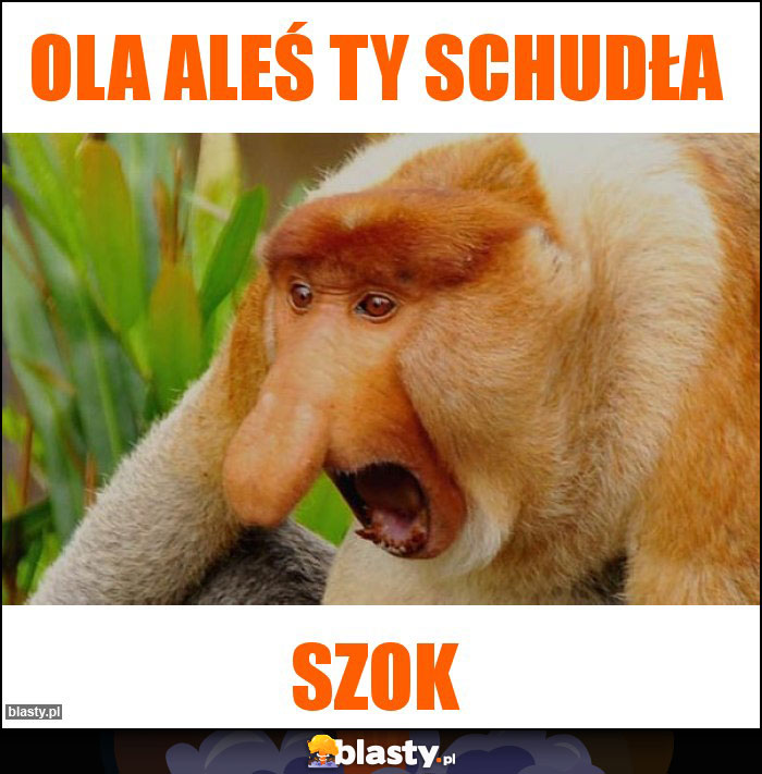 Ola aleś ty schudła Ola aleś ty schudła