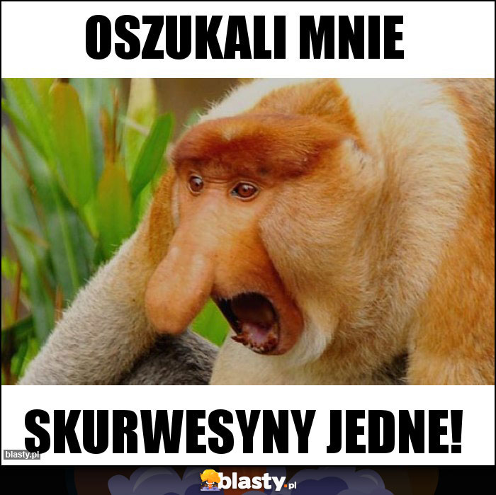 Oszukali mnie Oszukali mnie