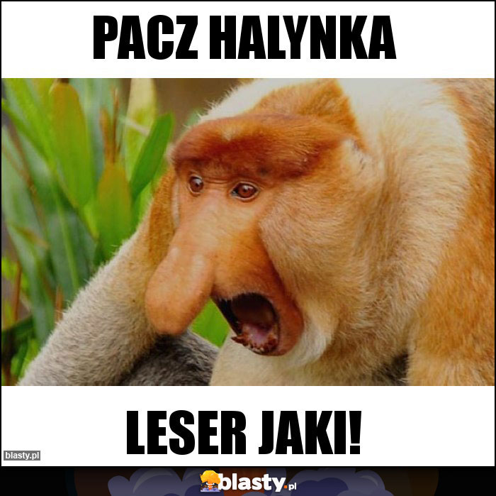 Pacz Halynka Pacz Halynka