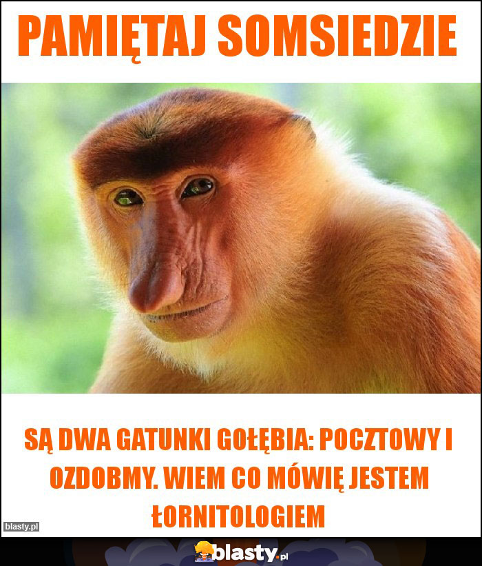 Pamiętaj Somsiedzie Pamiętaj Somsiedzie