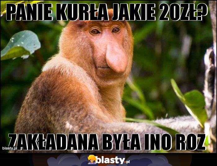 Panie kurła jakie 20zł? Panie kurła jakie 20zł?