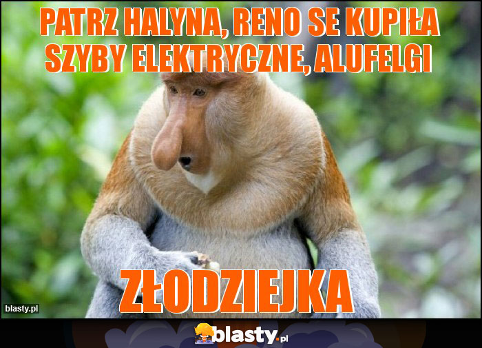 PATRZ HALYNA, RENO SE KUPIŁA szyby elektryczne, alufelgi PATRZ HALYNA, RENO SE KUPIŁA szyby elektryczne, alufelgi