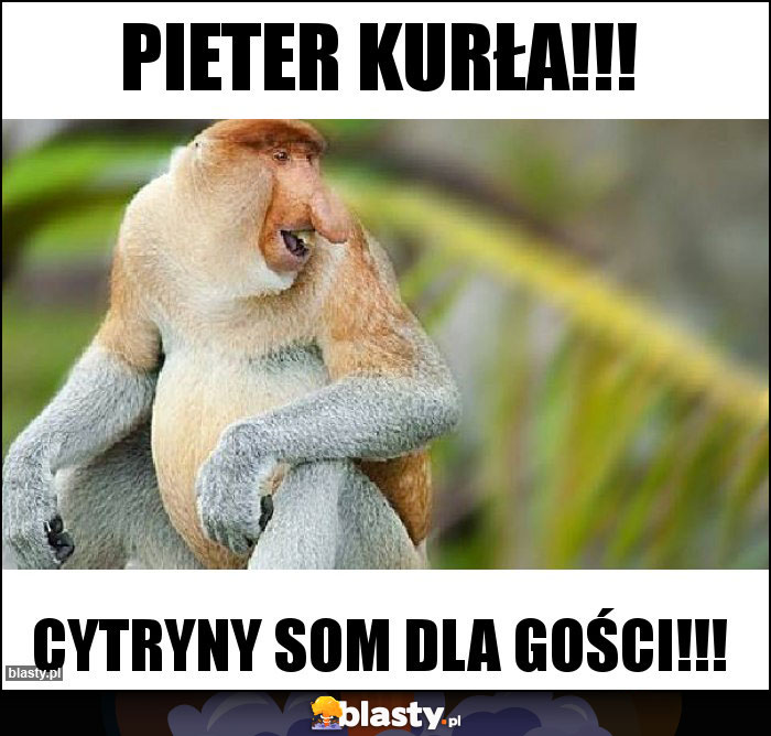 Pieter kurła!!! Pieter kurła!!!