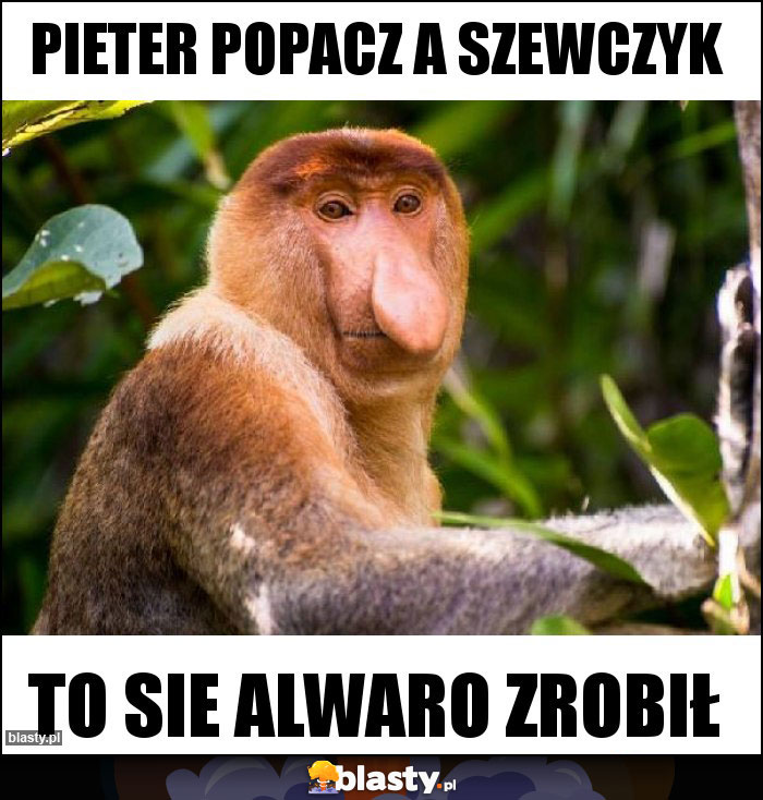 Pieter popacz a szewczyk Pieter popacz a szewczyk
