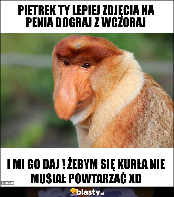 Pietrek ty lepiej zdjęcia na penia dograj z wczoraj Pietrek ty lepiej zdjęcia na penia dograj z wczoraj