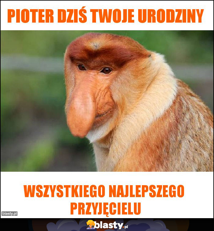 Pioter dziś twoje urodziny Pioter dziś twoje urodziny