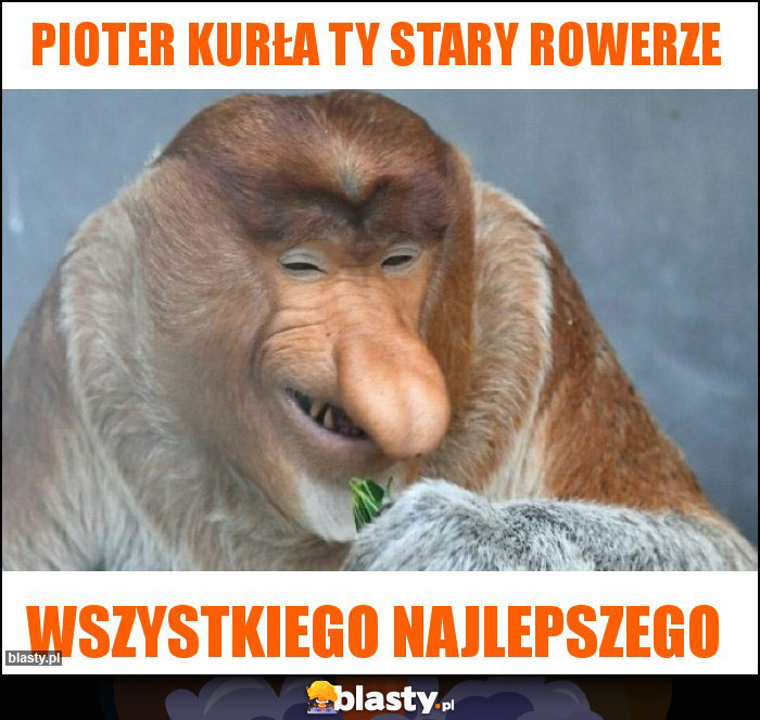 Pioter kurła ty stary rowerze Pioter kurła ty stary rowerze