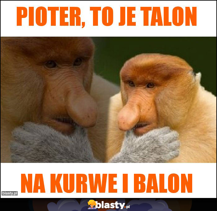 Pioter, to je talon Pioter, to je talon