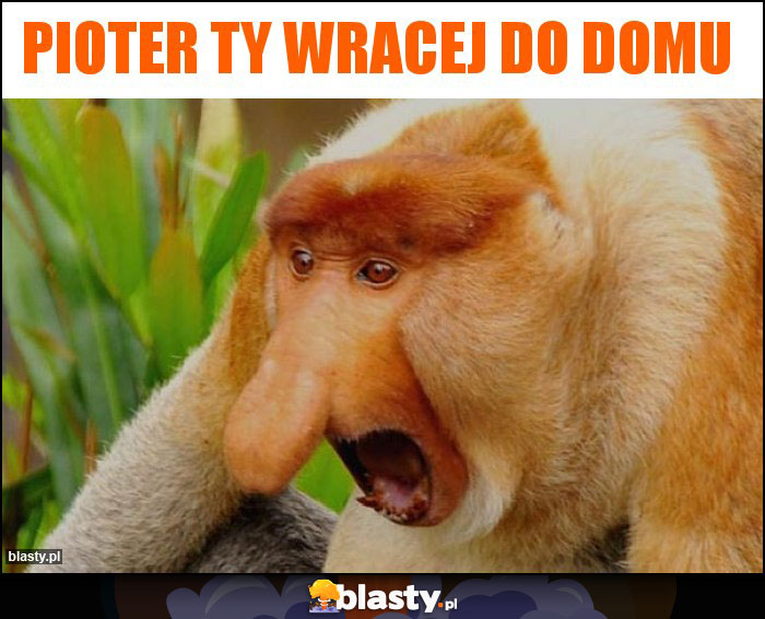 Pioter ty wracej do domu Pioter ty wracej do domu