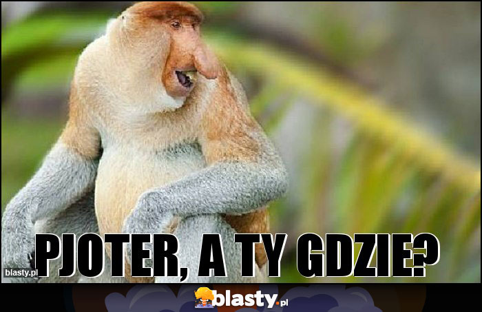 Pjoter, a ty gdzie? Pjoter, a ty gdzie?