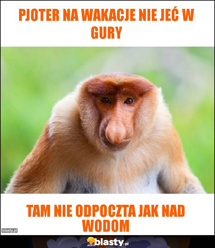 Pjoter na wakacje nie jeć w gury Pjoter na wakacje nie jeć w gury